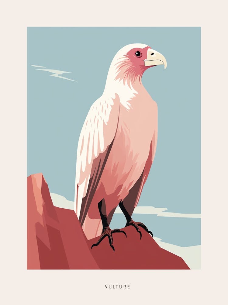 Minimalist Vulture 1 Bird Poster
