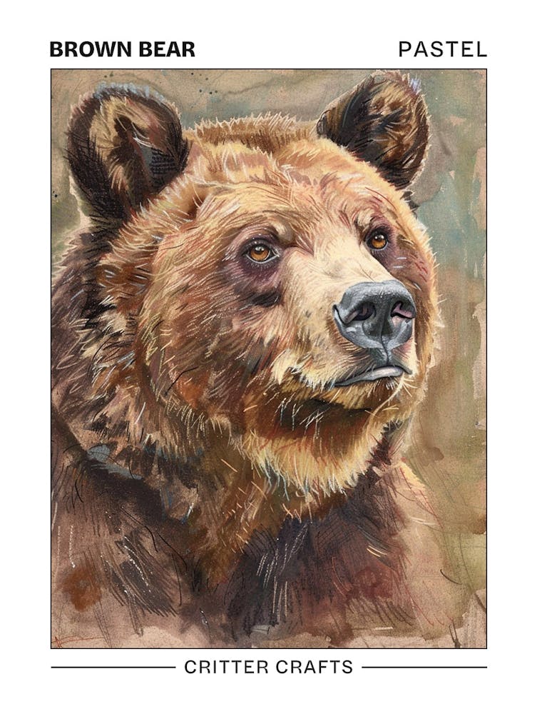 Brown Bear Pastel Watercolour 3 Poster
