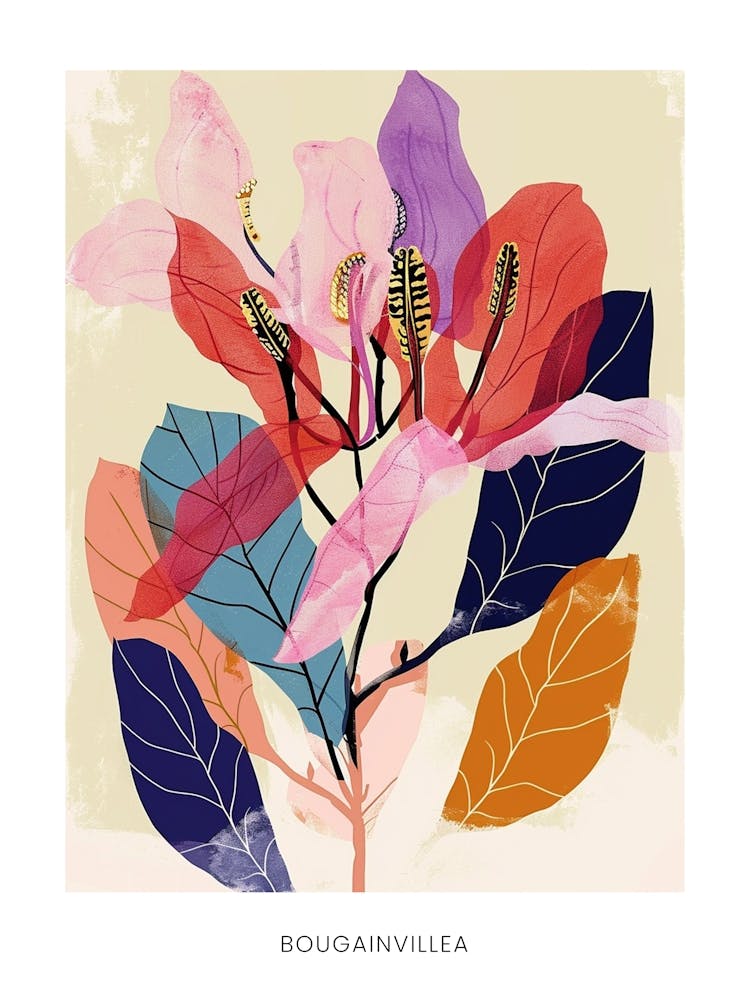 Colourful Flower Illustration Poster Bougainvillea 1