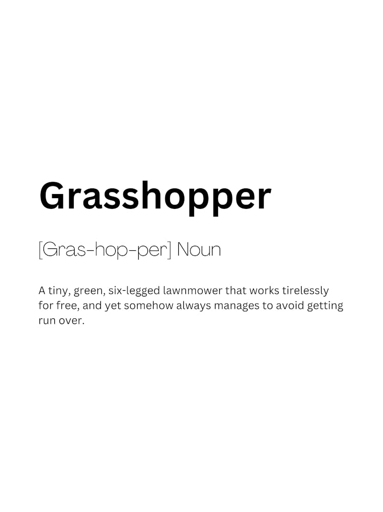 Grasshopper Definition Meaning