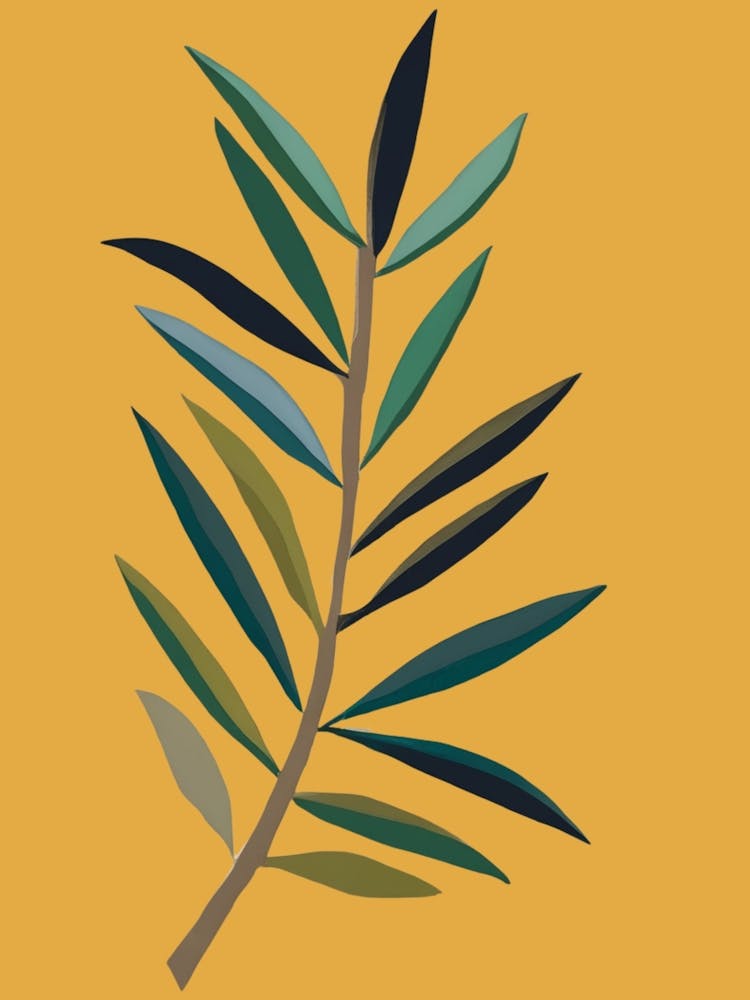 Olive Branch