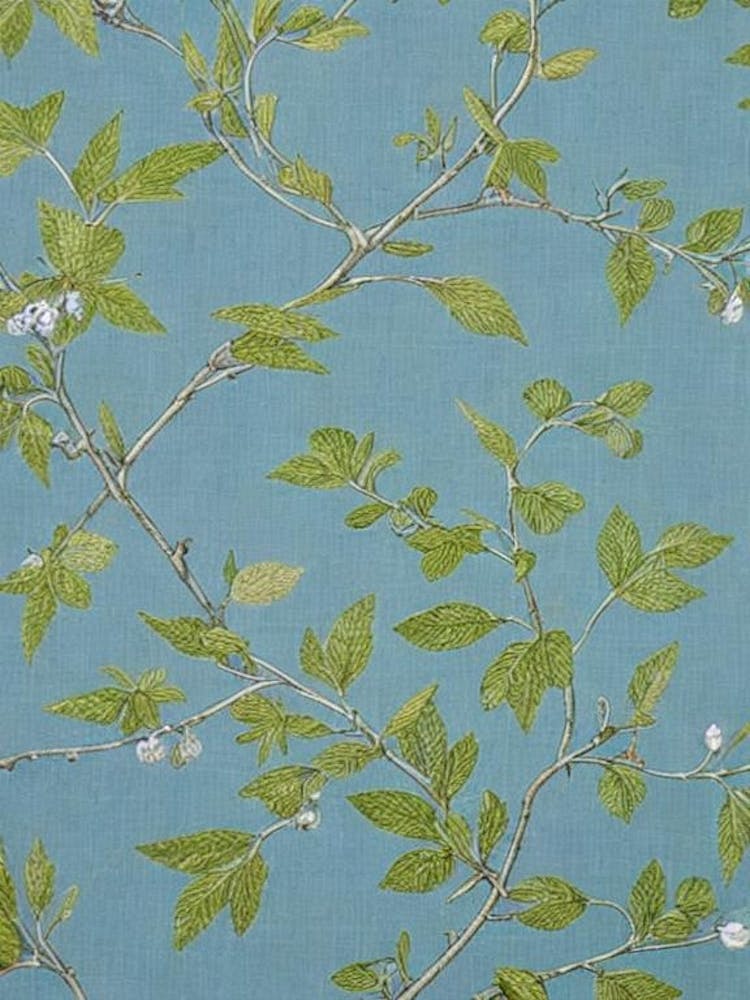 Silver Linden tree Vintage Botanical
