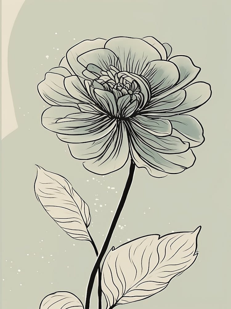 Dahlia Line Art Flowers Illustration Neutral 17