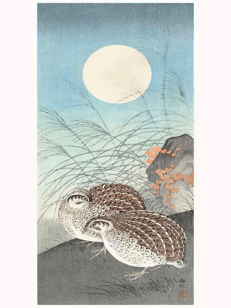 Two Quails At Full Moon (1900 1936), Ohara Koson