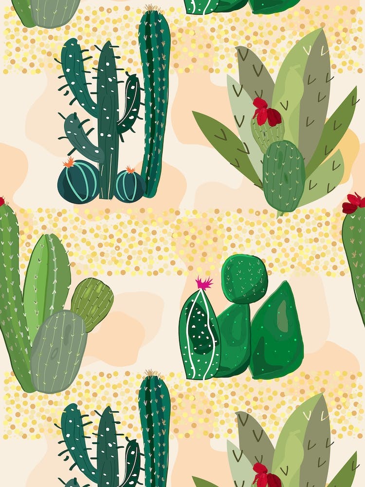 Succulent And Cactus