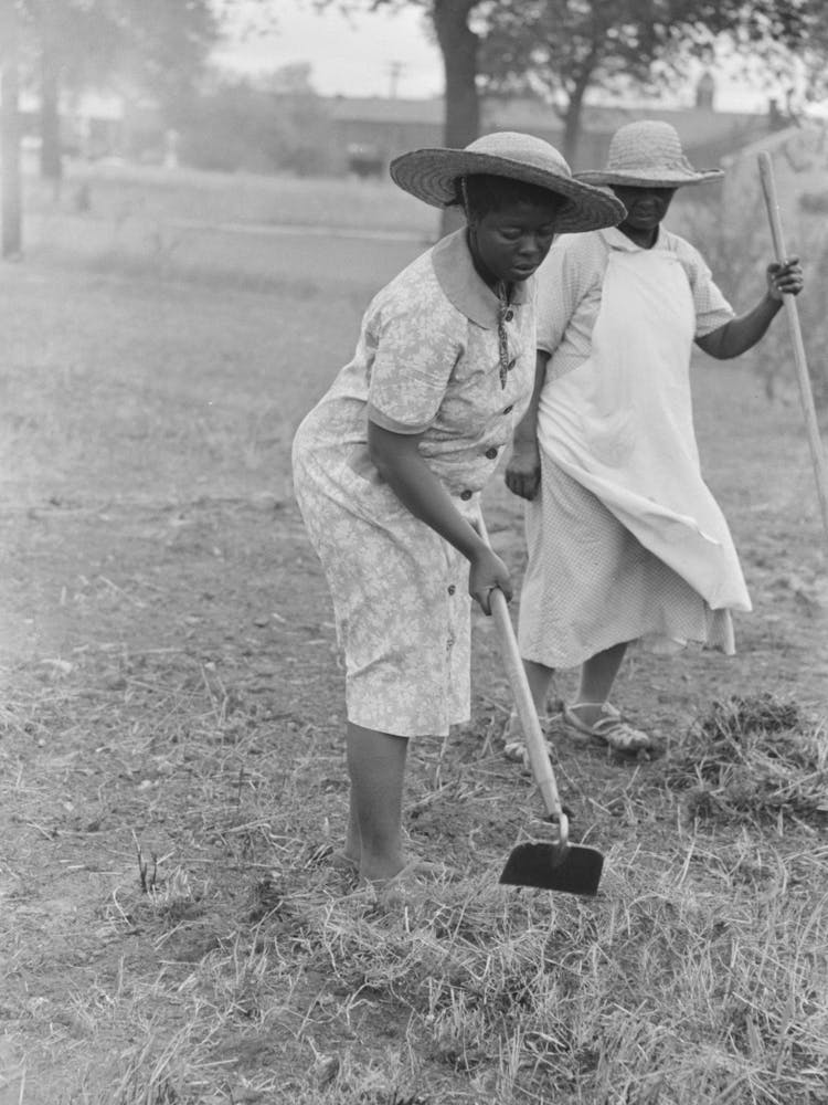 Women Hoeing, Picayune, Mississippi By Russell Lee