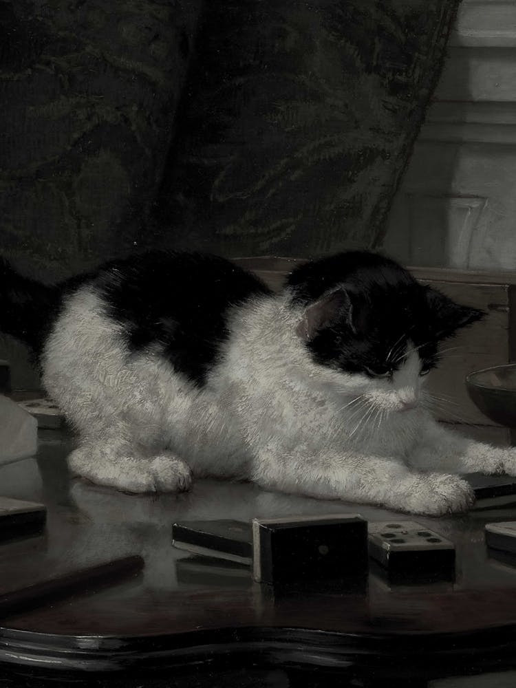 Cat Playing Dominoes