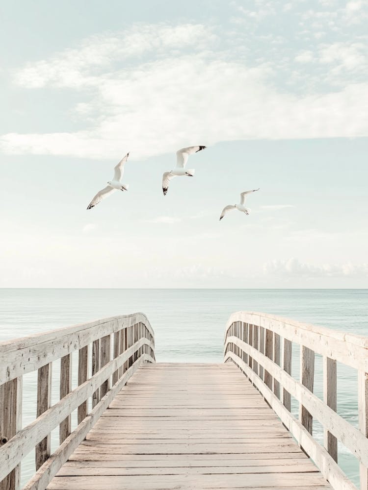 Seagulls Flying Over A Pier