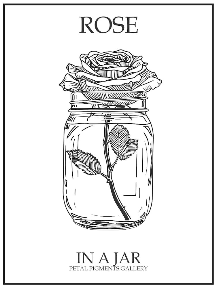 Rose In A Jar Line Drawing 3 Poster