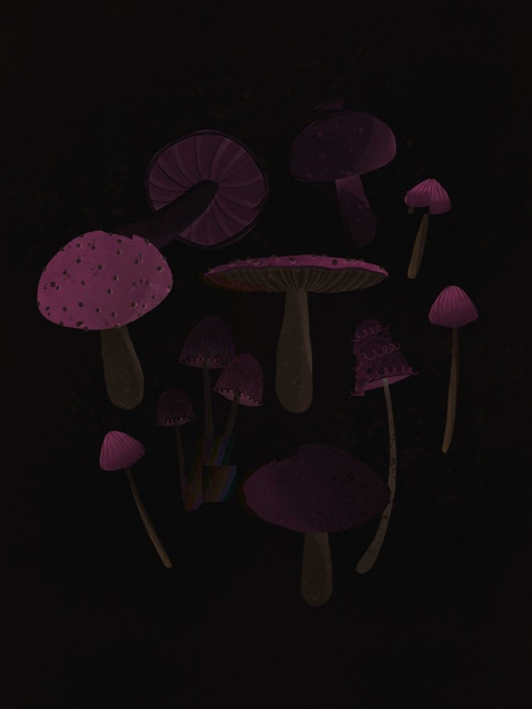 Dark Pink Mushrooms
