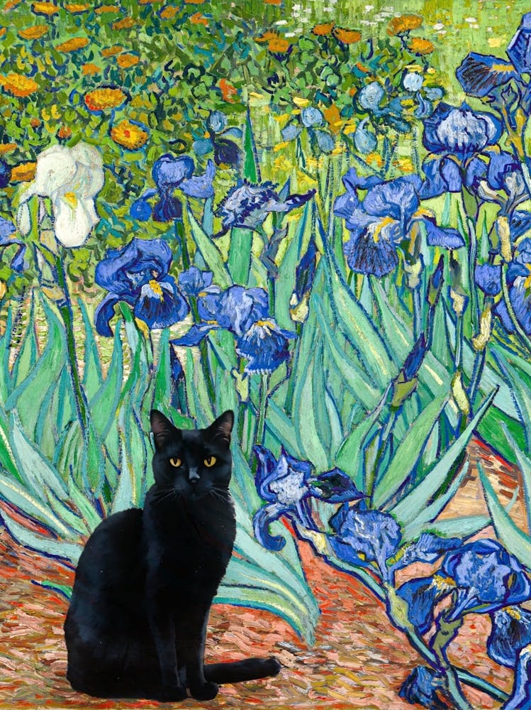 Black Cat Amongst Van Gogh Irises - Iris Flowers Funny Cat Like Monet in HD