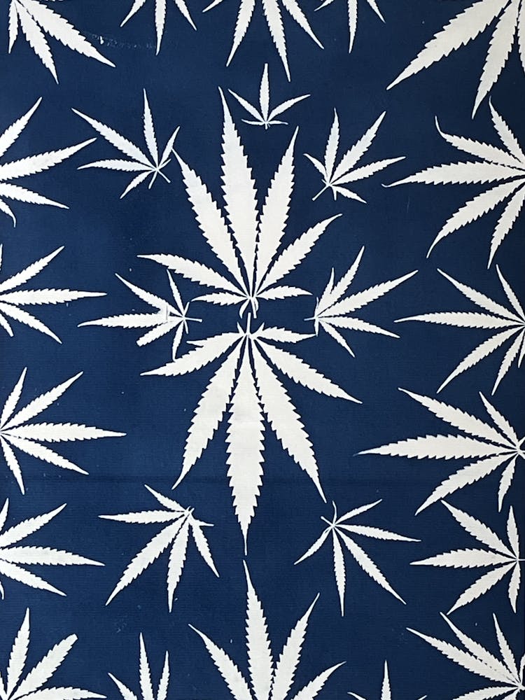 Cyanotype hemp blue leaf