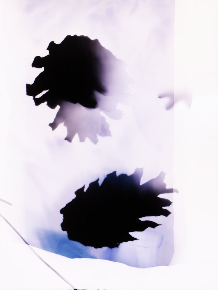 Blue White & Purple Pine Cones Abstract Botanical