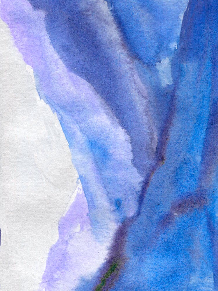 Blue And White Watercolor Painting 1