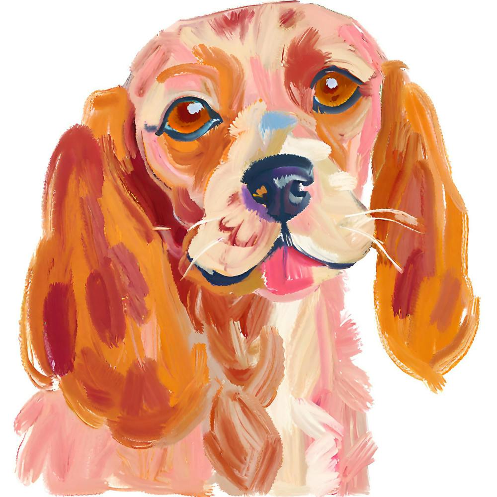 Cocker Spaniel 03
