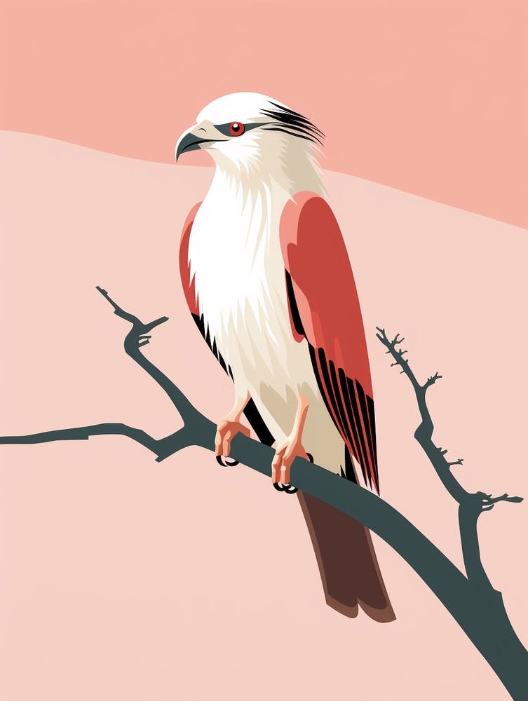 Minimalist Crested Caracara 2 Illustration