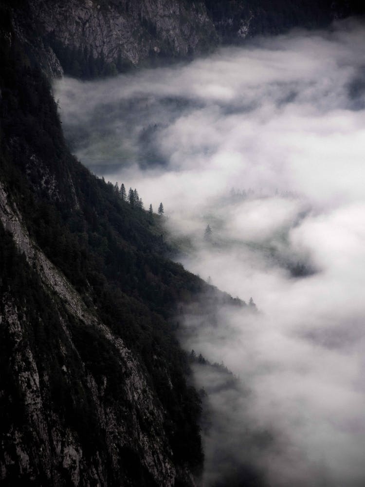 Fantastic Foggy Morning In The Mountains Alpen Konigsstein