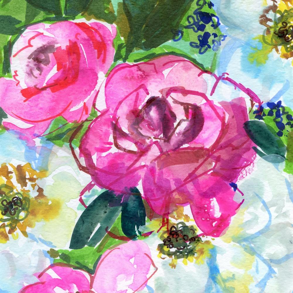 Pink Roses