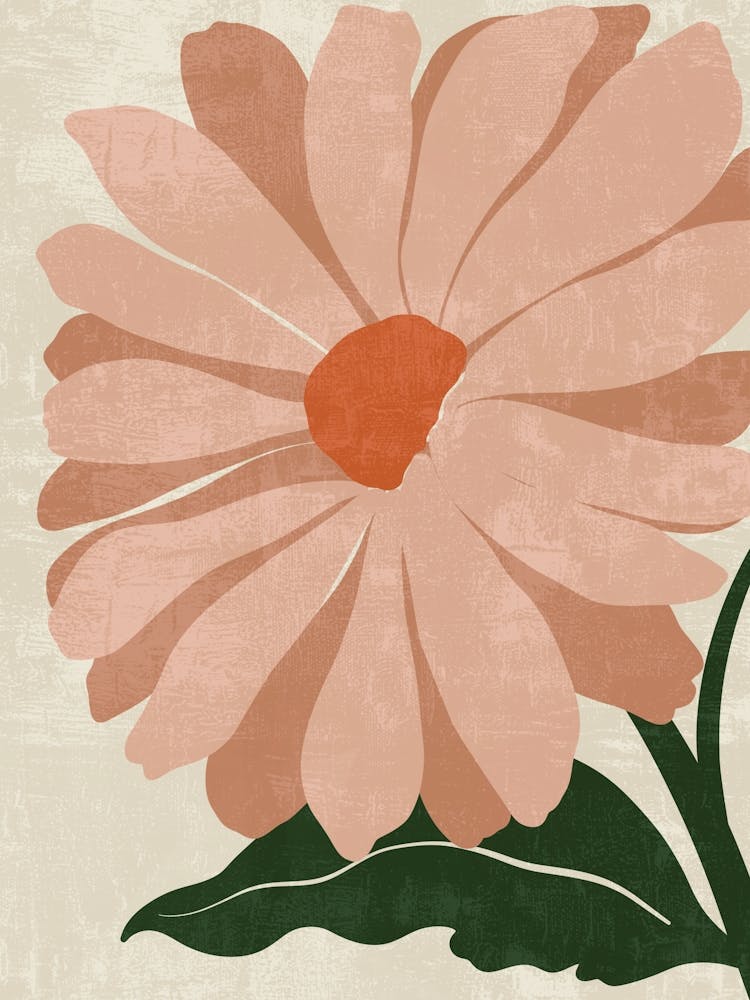 Gerbera