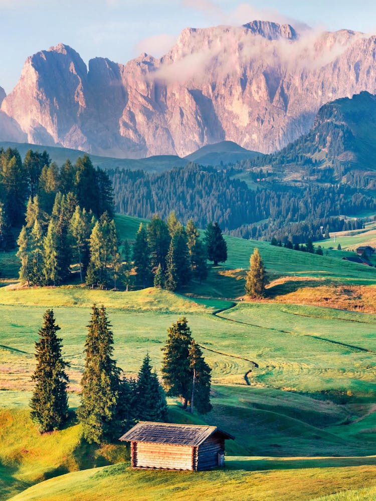 Alpine Landscape