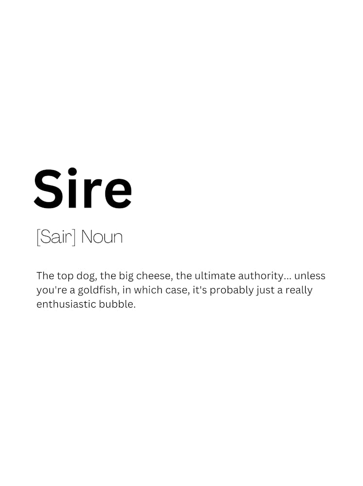 Sire Définition Signification 1