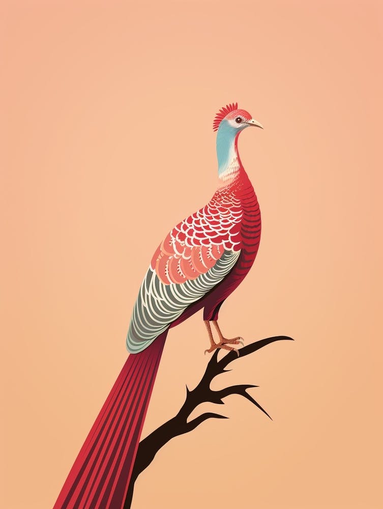 Minimalist Pheasant 5 Illustration