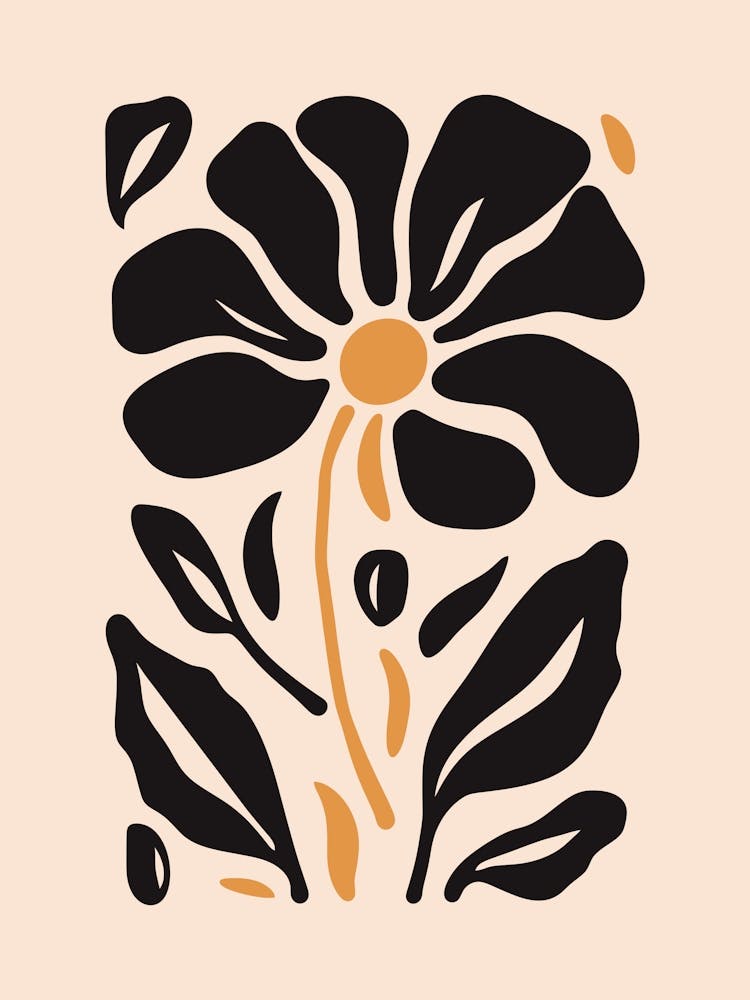 Black And Yellow Flower