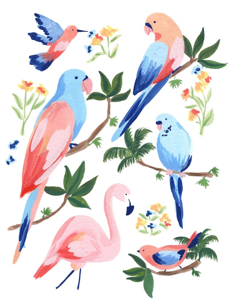 Jungle Birds 2