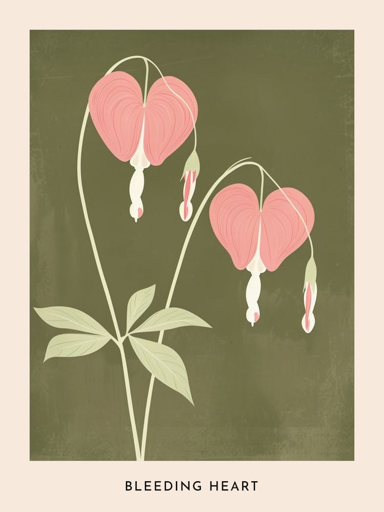Rosa & Grün Tränendes Herz 3 Blumenposter