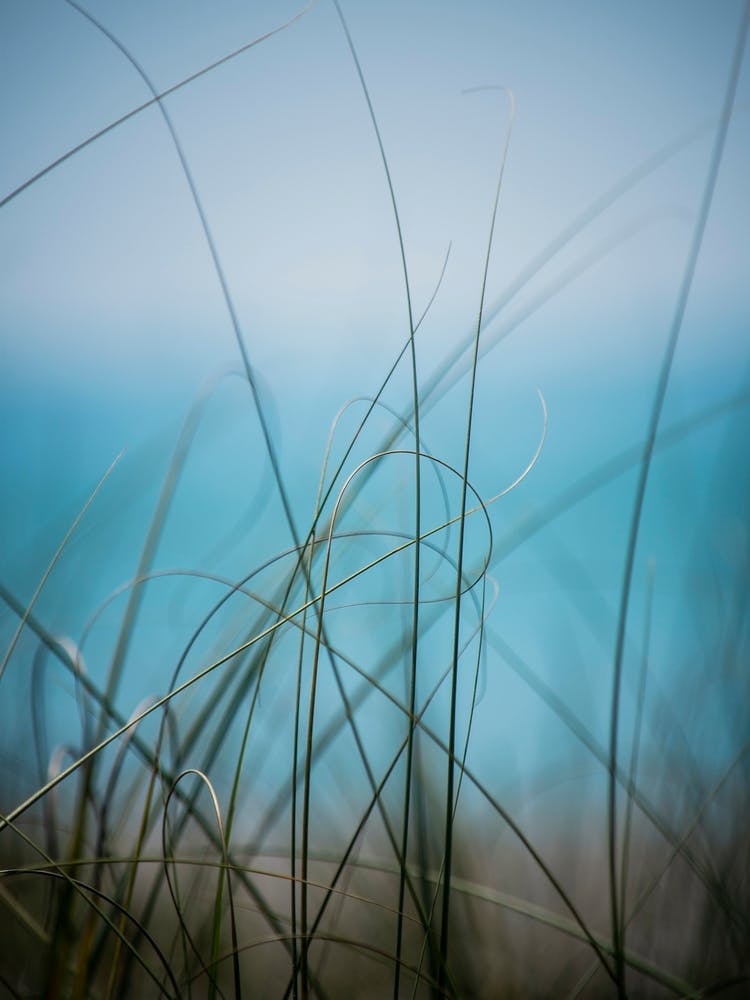 Warm Wind Cool Water