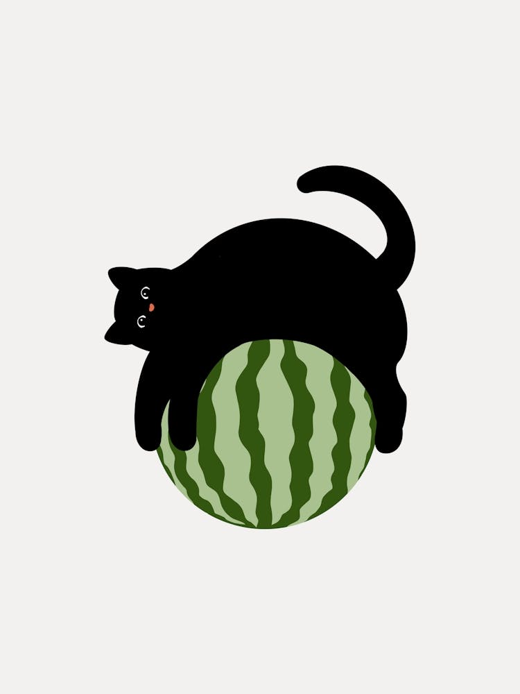 Cat On Watermelon