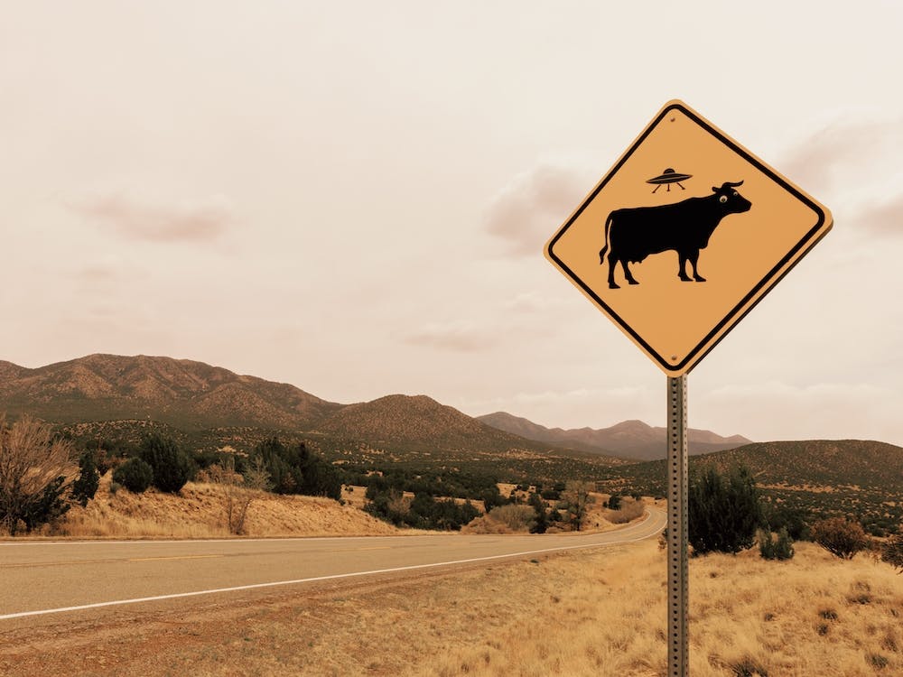 Alien Cows Sign
