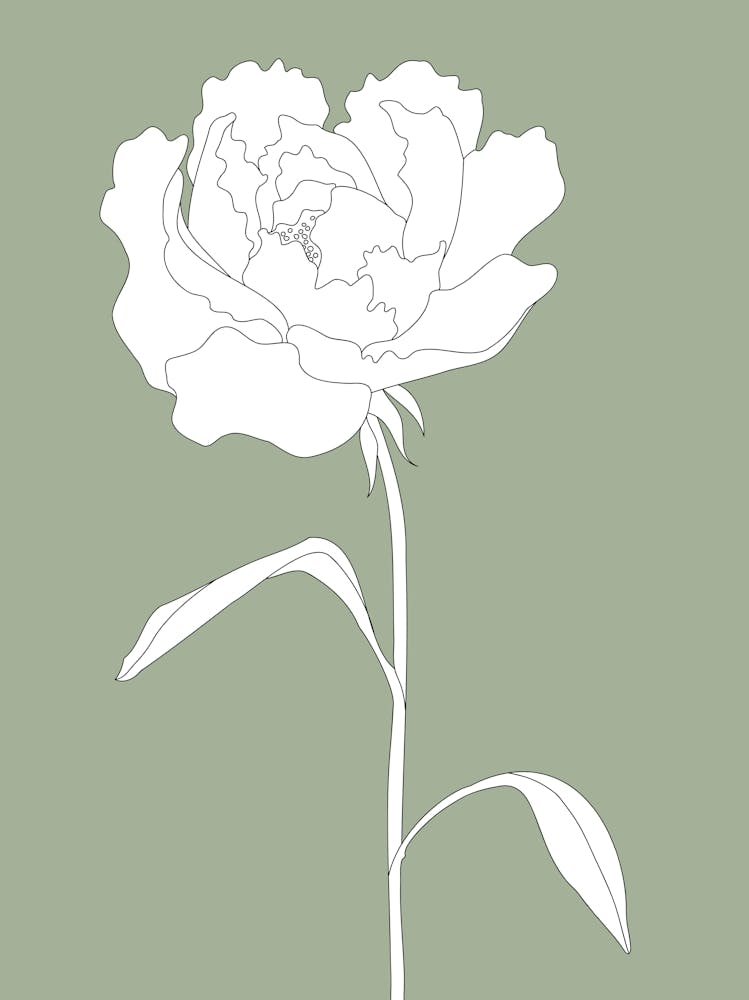 Flower Sage Green_2456172