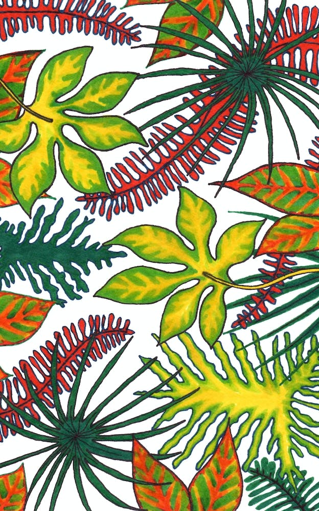 Florida Flora