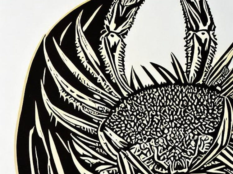 It's Not A Bird, It's Not A Plane, It's An ANGRY Hippo !