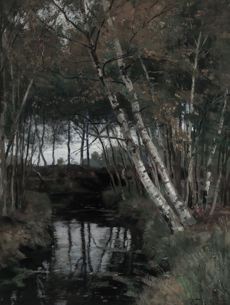 Stream In The Woods 2