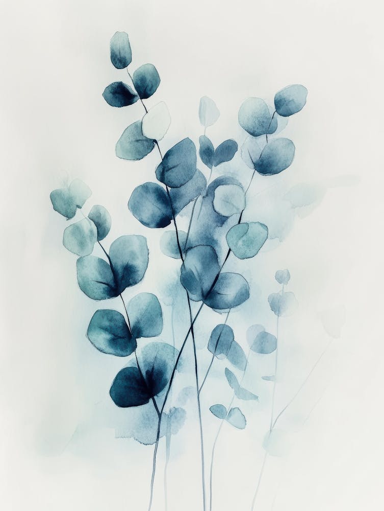 Eukalyptus 40