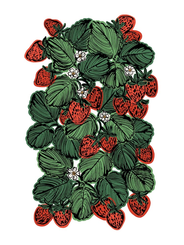 Strawberries