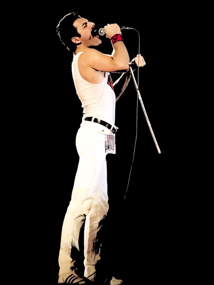 Queen In Concert Freddie Mercury