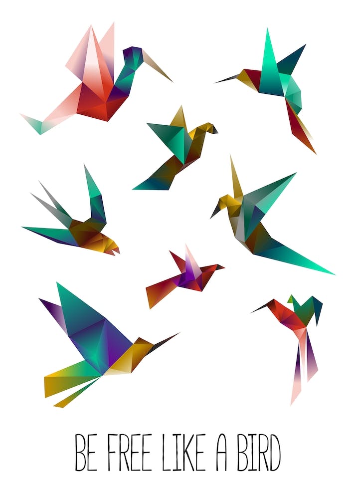 Oiseau