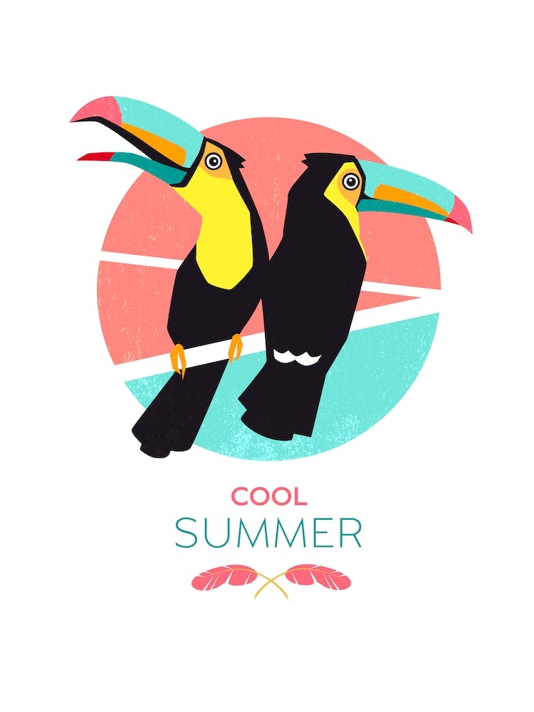 Summer Toucans