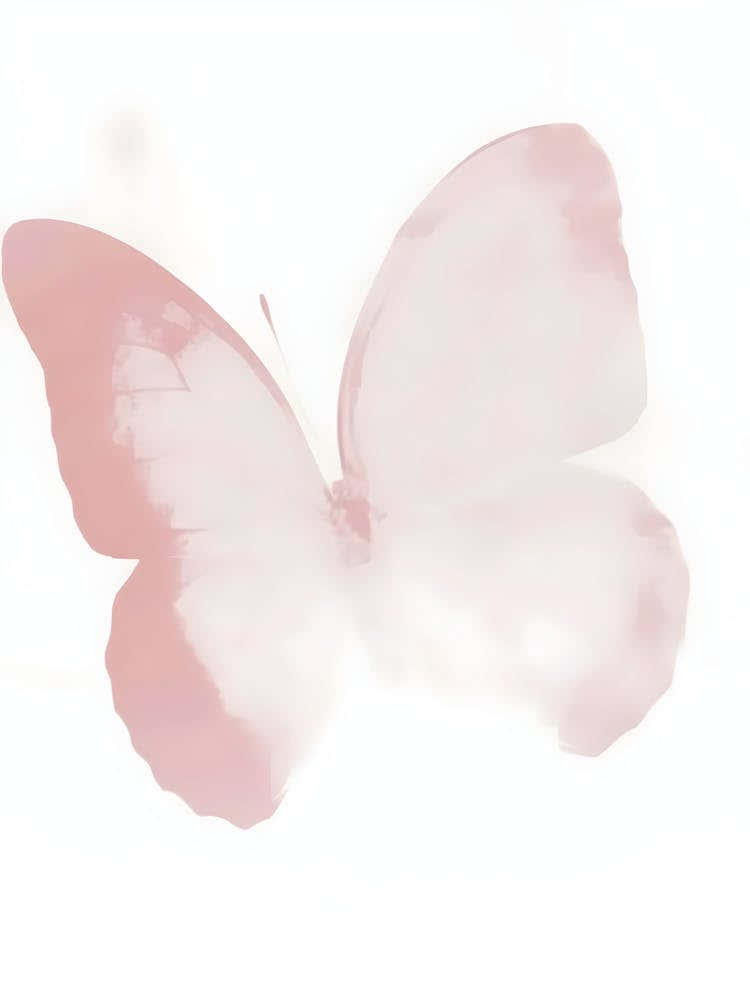 Pink Butterfly 1