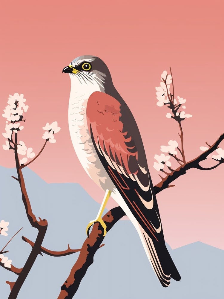 Minimalist Eurasian Sparrowhawk 1 Illustration