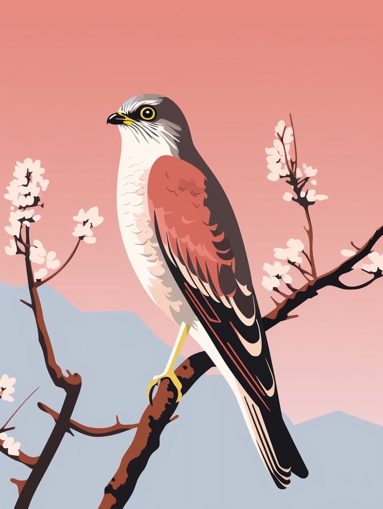 Minimalist Eurasian Sparrowhawk 1 Illustration