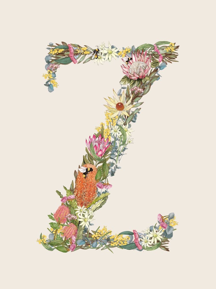 Z Oat Alphabet Letter