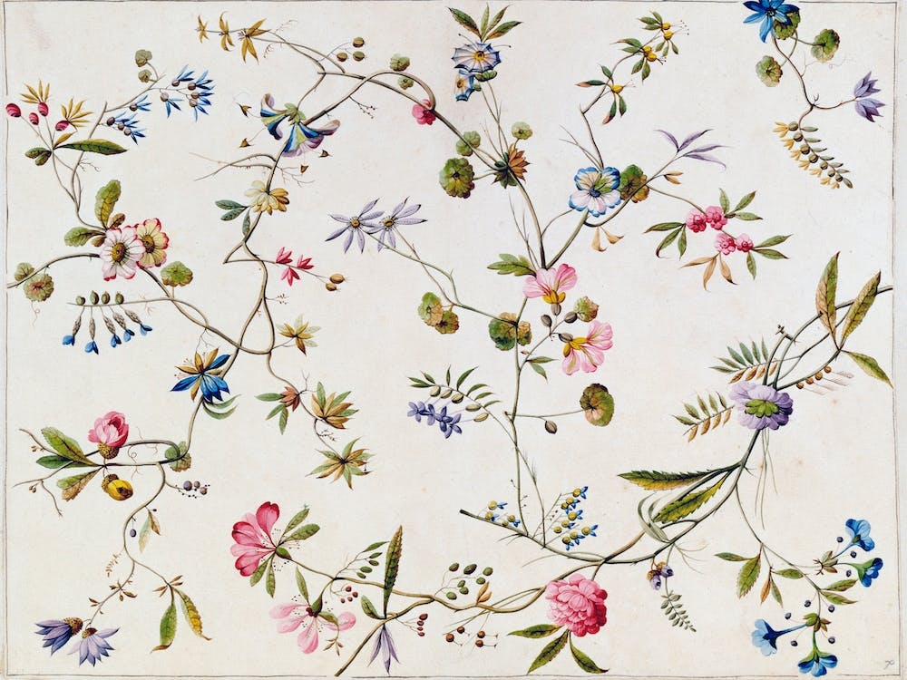 Decorative Twigs Pattern