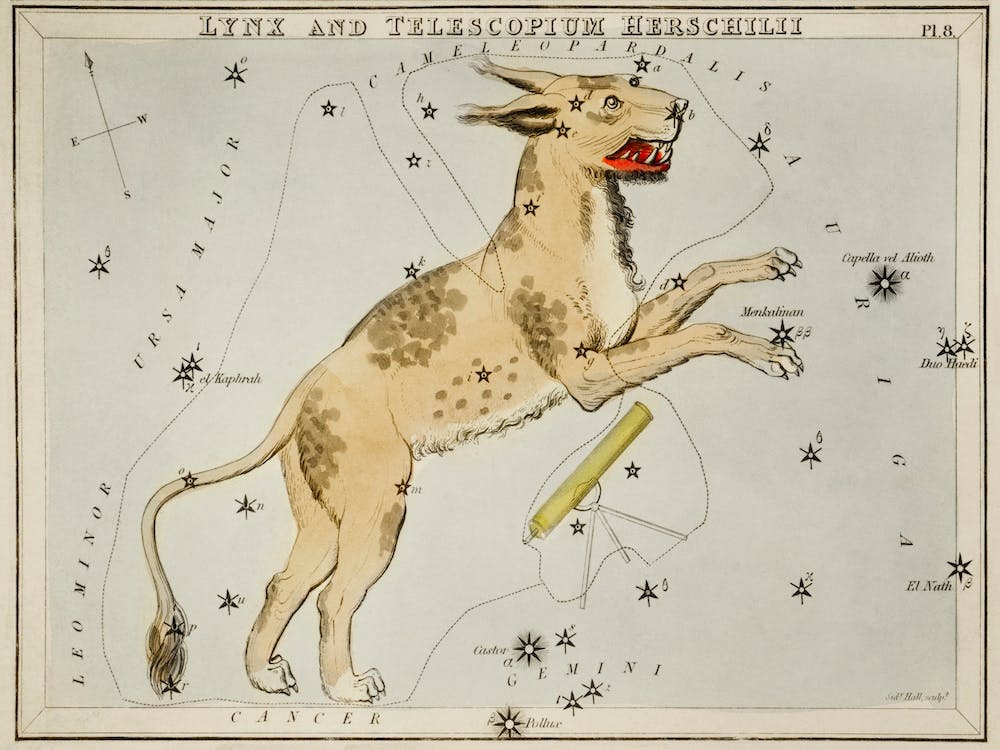 Sidney Hall’s (1831), Astronomical Chart Illustration Of Lynx And The Telescopium HerschilII