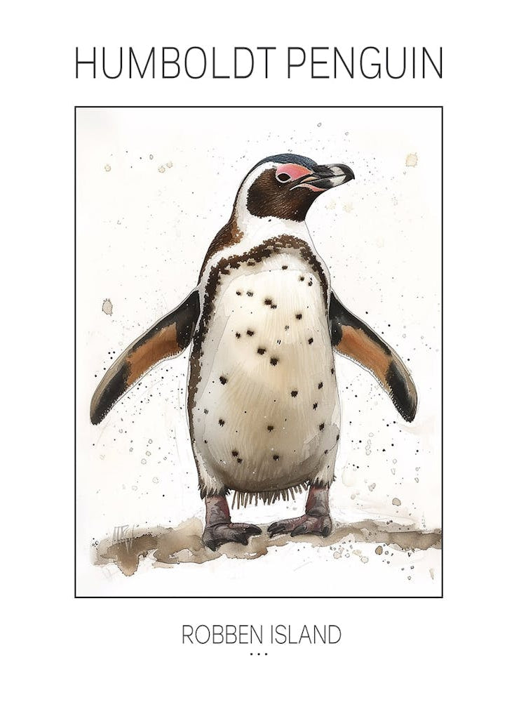 Humboldt Penguin Robben Island Watercolour Painting 4 Poster