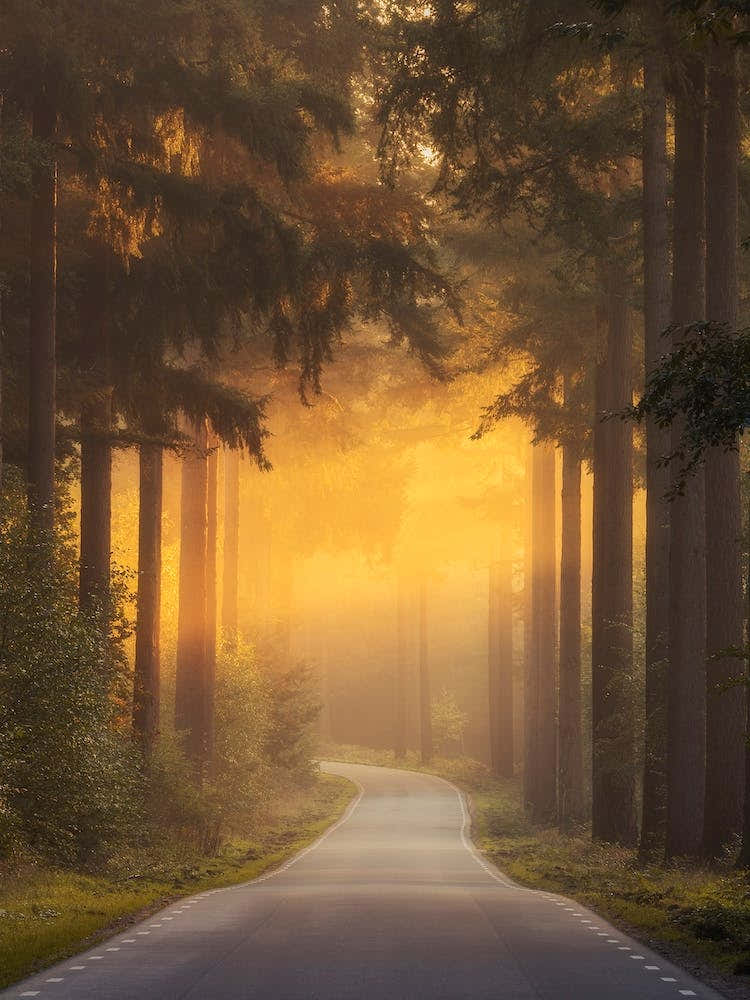 Pursuing The Light At The End Of The Road