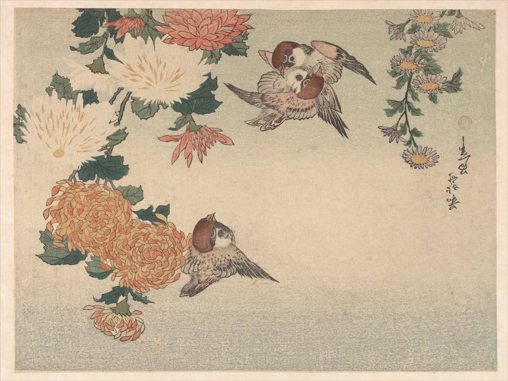 Sparrows And Chrysanthemums, Katsushika Hokusai